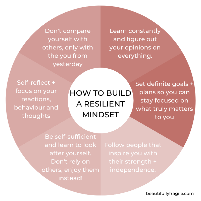 How to Foster Spiritual Harmony Through Animal Companionship How to Foster Spiritual Harmony Through Animal Companionship